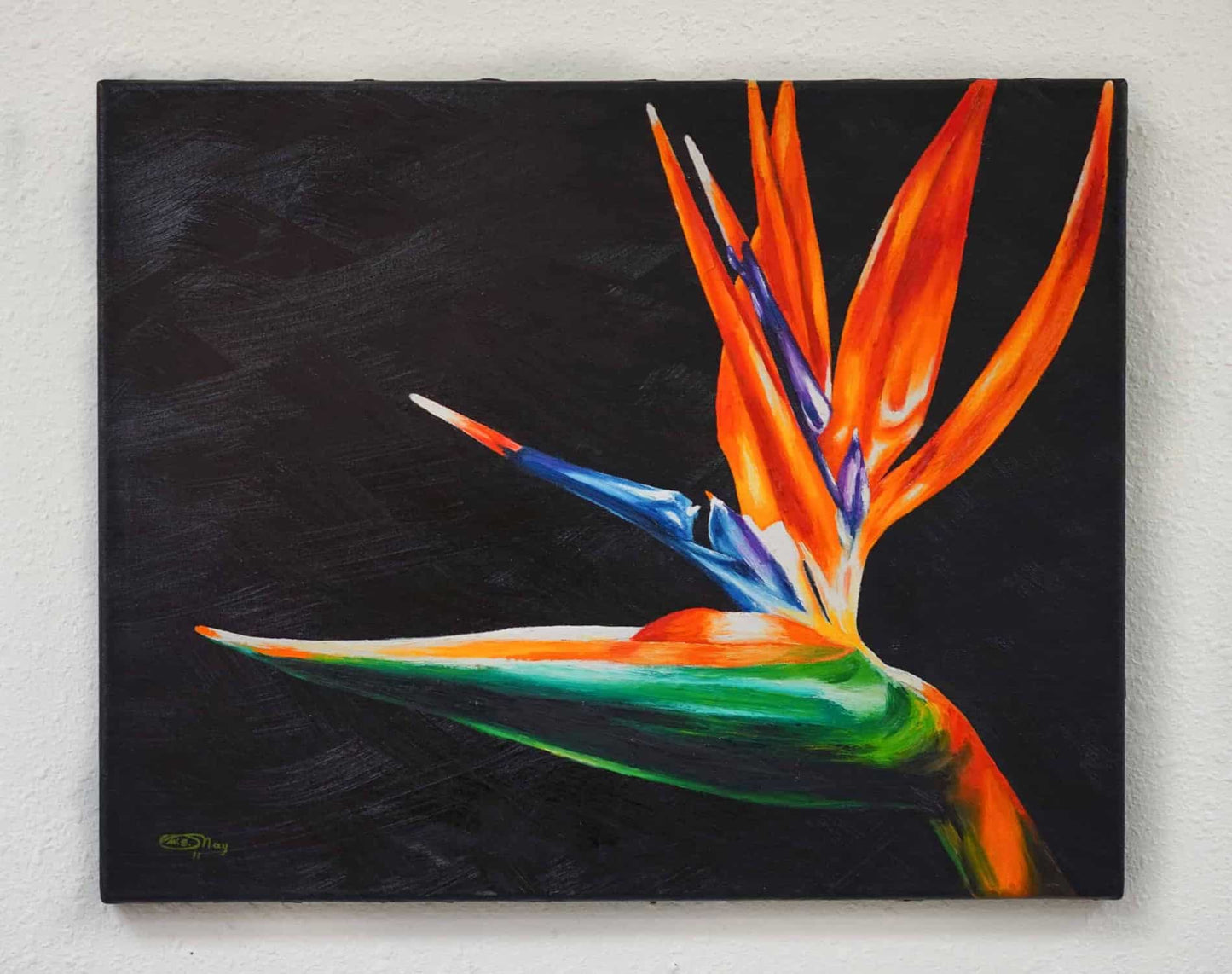 Bird of Paradise