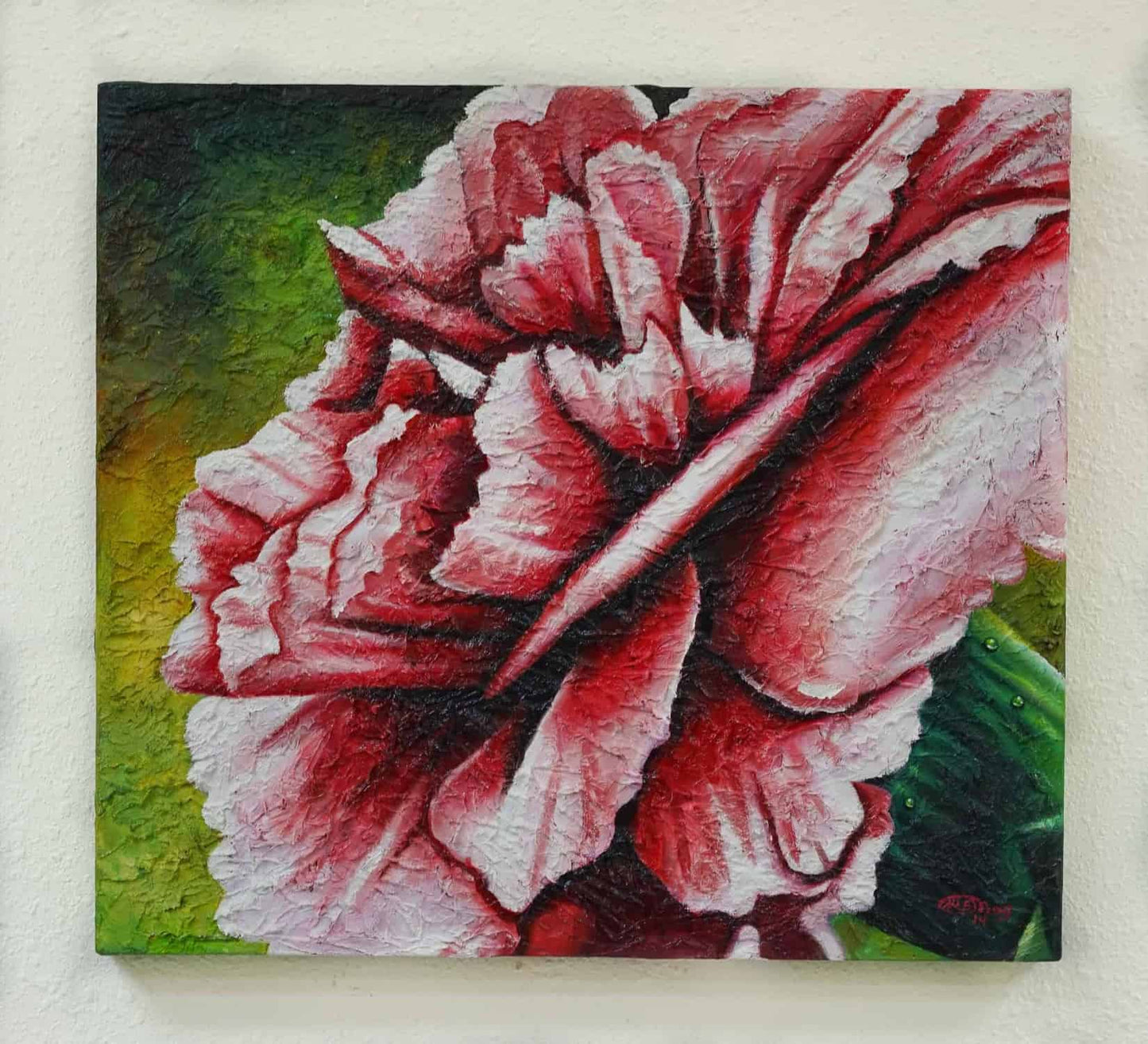 The Carnation
