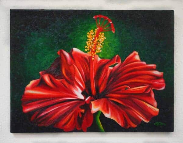 The Hibiscus